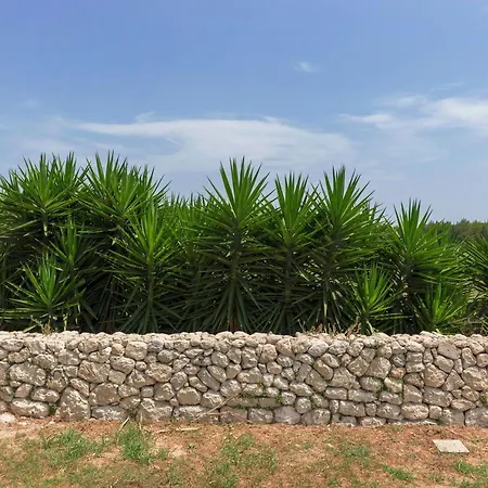 Casa de Férias Masseria Specchiulla