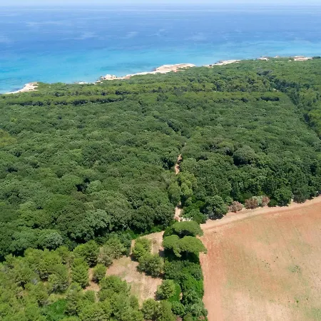 Casa de Férias Masseria Specchiulla *