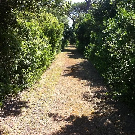 Masseria Specchiulla Casa de Férias