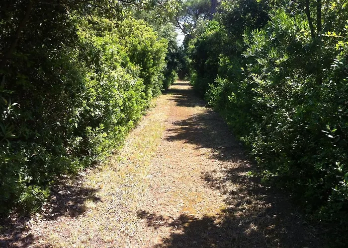 Masseria Specchiulla Будинок відпочинку