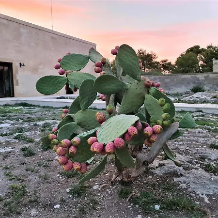 Masseria Specchiulla Holiday home