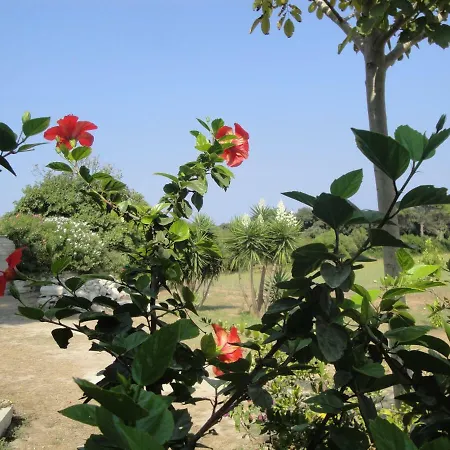 Masseria Specchiulla Dom wakacyjny *