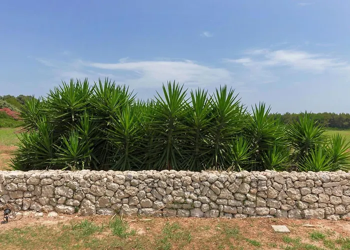 Tatil Evi Masseria Specchiulla