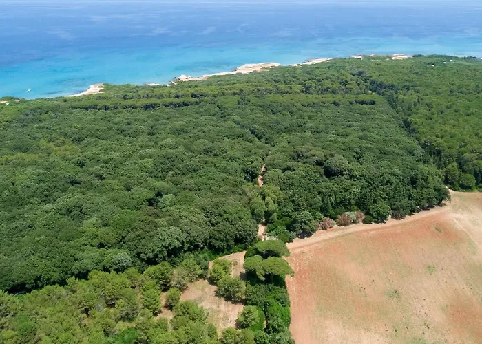 Tatil Evi Masseria Specchiulla *