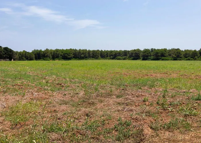 Tatil Evi Masseria Specchiulla *