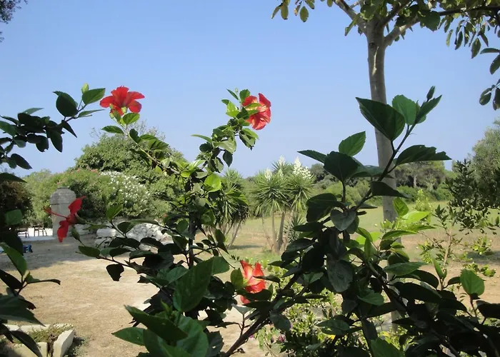 Masseria Specchiulla بيت للعطل *