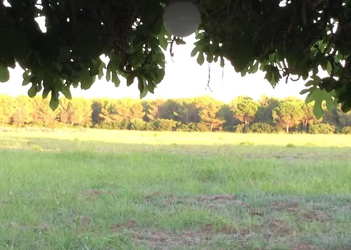 Masseria Specchiulla Tatil Evi *